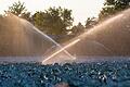 Wie viel Wasser haben Industrie, Landwirte, Winzer und Kommunen in Unterfranken abgepumpt? Bei fast 60 Prozent aller Wasserrechte liegt den Landratsämtern für 2018 bis 2021 keine einzige Angabe dazu vor.