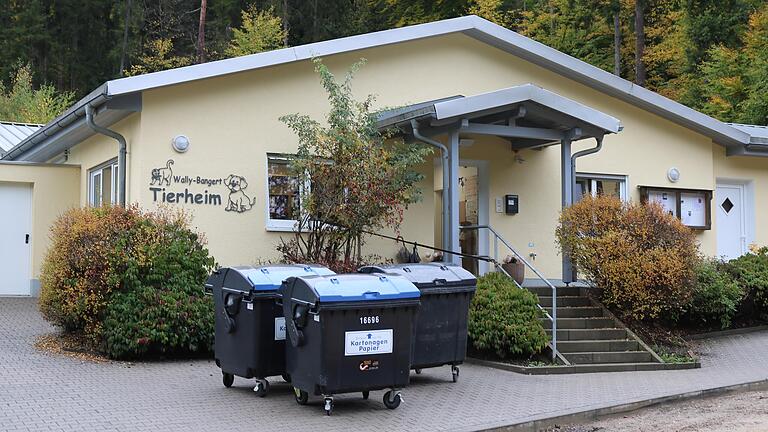 Das Lohrer Tierheim hat am Wochenende Tiere aufgenommen, die aus einem Privathaushalt in einem Karlstadter Stadtteil geholt wurden, da die Zustände dort 'nicht tragbar' gewesen seien (Archivfoto). Das Lohrer Tierheim hat am Wochenende Tiere aufgenommen, die aus einem Privathaushalt in einem Karlstadter Stadtteil geholt wurden, da die Zustände dort 'nicht tragbar' gewesen seien (Archivfoto).
