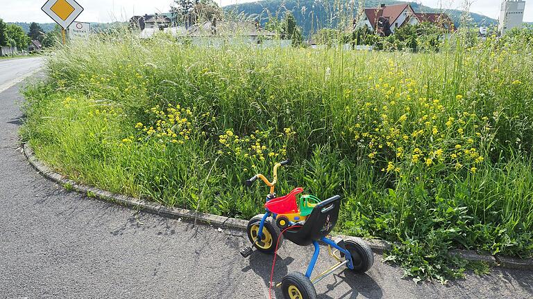 In der Eußenheimer Straße in Karlstadt soll der Neubau für den Kindergarten Theresienheim entstehen. In der Eußenheimer Straße in Karlstadt soll der Neubau für den Kindergarten Theresienheim entstehen.