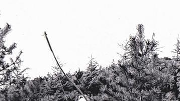 Konzentration: Willigis Jäger erlernt in Japan Kyudo, die Kunst des Bogenschießens. Konzentration: Willigis Jäger erlernt in Japan Kyudo, die Kunst des Bogenschießens.