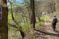 Durch den frühlingshaften Wald führt der Weg auf Heiligkreuz und seine Kirche zu.