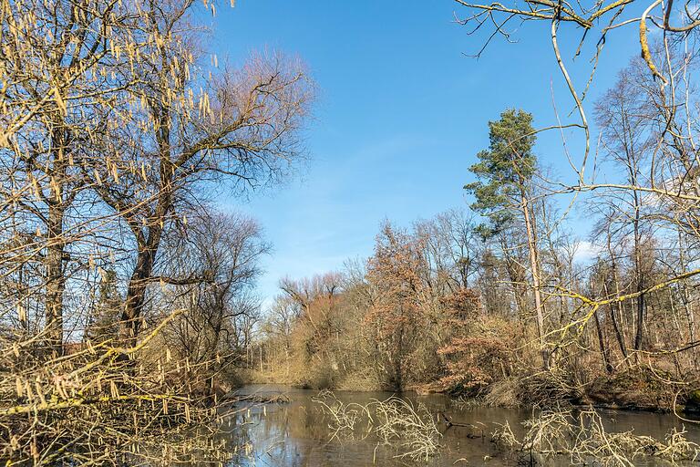 Blick auf den See, der sich gegenüber des Jagdschlosses in Ilmbach befindet. Blick auf den See, der sich gegenüber des Jagdschlosses in Ilmbach befindet.