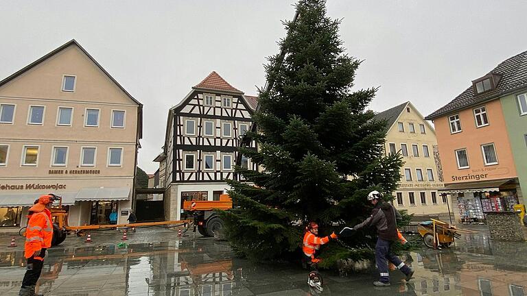 Am Montagvormittag wurde der Christbaum auf dem Marktplatz in Mellrichstadt aufgestellt. Die elf Meter hohe Nordmanntanne ist ein Pachtstück und kommt aus Unterelsbach. Am Montagvormittag wurde der Christbaum auf dem Marktplatz in Mellrichstadt aufgestellt. Die elf Meter hohe Nordmanntanne ist ein Pachtstück und kommt aus Unterelsbach.