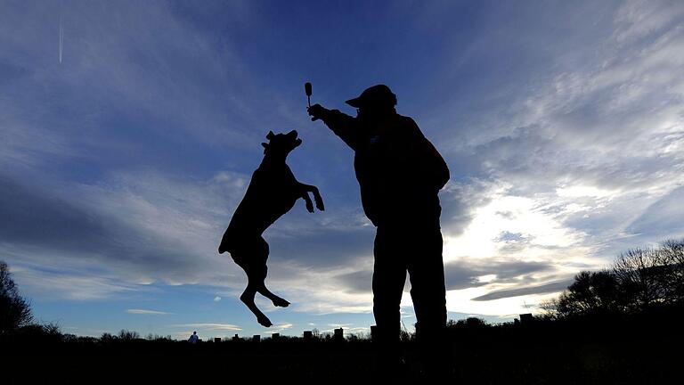 Hund und Herrchen spielen im Freien.jpeg       -  Zwischen Hund und Mensch können tiefe Freundschaften entstehen. Doch nicht alle Hunderassen eignen sich für Anfänger.