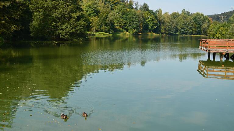 Nun also doch: Der Grimmwiesensee in Neuhütten ist noch mit Heizöl kontaminiert. Der komplette See muss abgepumpt und eventuell ausgebaggert werden. Nun also doch: Der Grimmwiesensee in Neuhütten ist noch mit Heizöl kontaminiert. Der komplette See muss abgepumpt und eventuell ausgebaggert werden. 