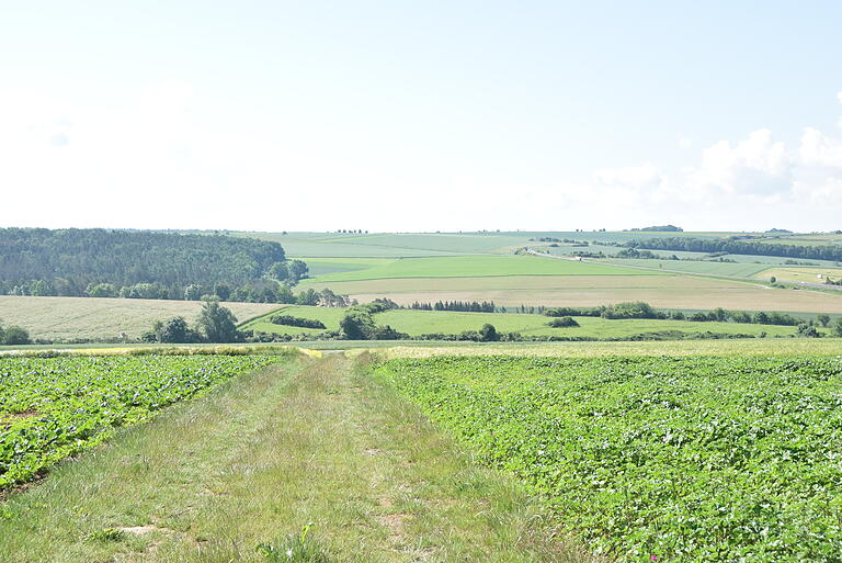 Auf der Mühlfelder Höhe sind im Zuge des Flurbereinigungsverfahrens große Schläge entstanden. Am Fuße kam der Naturschutz zu seinem Recht. Auf der Mühlfelder Höhe sind im Zuge des Flurbereinigungsverfahrens große Schläge entstanden. Am Fuße kam der Naturschutz zu seinem Recht.
