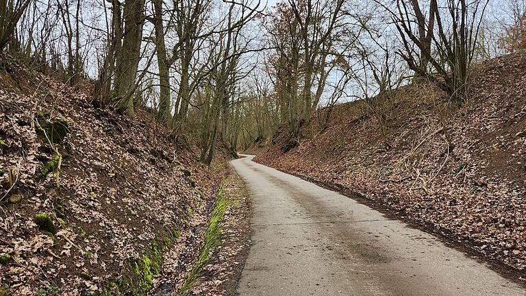 Unter anderem hier entlang führt die Umleitung von der B13 kommend zur Klinge. Wo die Straße nicht breit genug für zwei Autos nebeneinander ist, wird eine Ampelanlage den Verkehr regeln. Unter anderem hier entlang führt die Umleitung von der B13 kommend zur Klinge. Wo die Straße nicht breit genug für zwei Autos nebeneinander ist, wird eine Ampelanlage den Verkehr regeln.