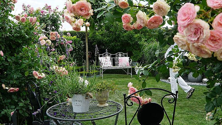 Wie im Bilderbuch präsentiert sich der Garten von Doris und Gerald Graf mit der kleinen Bank zwischen den Rosen. Wie im Bilderbuch präsentiert sich der Garten von Doris und Gerald Graf mit der kleinen Bank zwischen den Rosen.