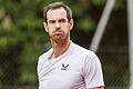 Andy Murray       -  Will in Wimbledon an den Start gehen: Andy Murray.