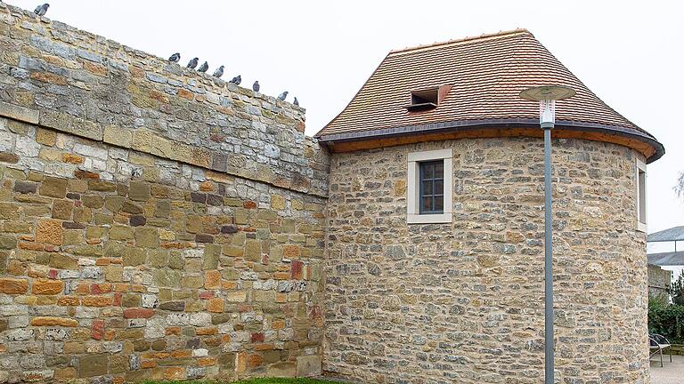 Warteschlange am Taubenschlag im Höpperles Turm in Schweinfurt? Bis Stadttauben Schläge als ihr neues Zuhause akzeptieren und nutzen, dauert es. Vorher schauen die Tiere immer wieder neugierig vorbei. Warteschlange am Taubenschlag im Höpperles Turm in Schweinfurt? Bis Stadttauben Schläge als ihr neues Zuhause akzeptieren und nutzen, dauert es. Vorher schauen die Tiere immer wieder neugierig vorbei.