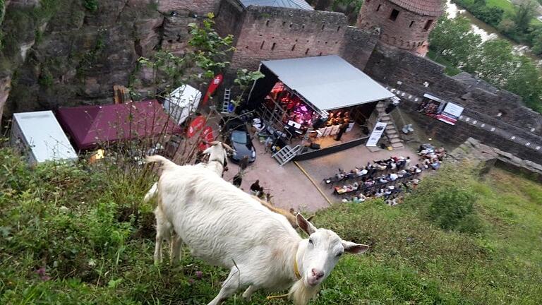 Bei 'Bock auf Burg' auf Burg Wertheim erwarten die Besucher viele verschiedene Mitmach-Aktionen. Bei 'Bock auf Burg' auf Burg Wertheim erwarten die Besucher viele verschiedene Mitmach-Aktionen.