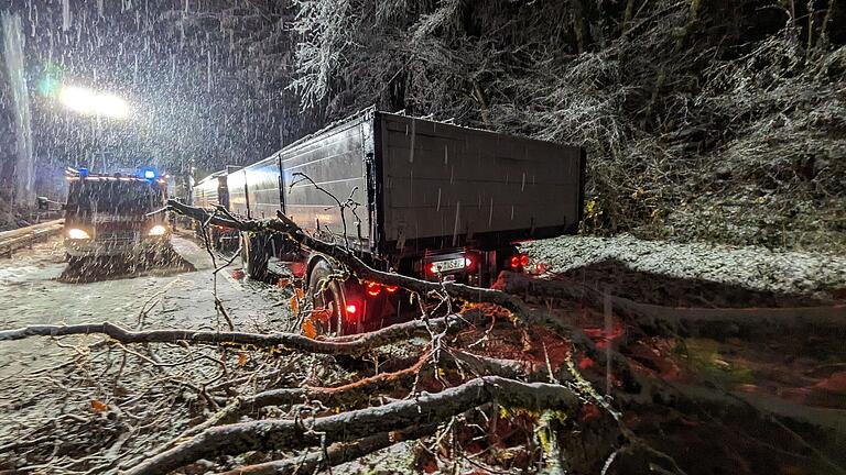 Ein Lkw konnte in der Nacht zum Dienstag wegen umgestürzter Bäume bei Lohr nicht weiterfahren.