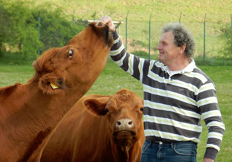 Unter Rindern: Gerold Ort. Unter Rindern: Gerold Ort.