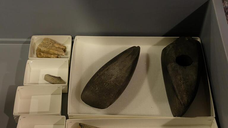 Sauber verpackt: Steinbeile und Knochenfunde der Archäologischen Sammlung Schranne.