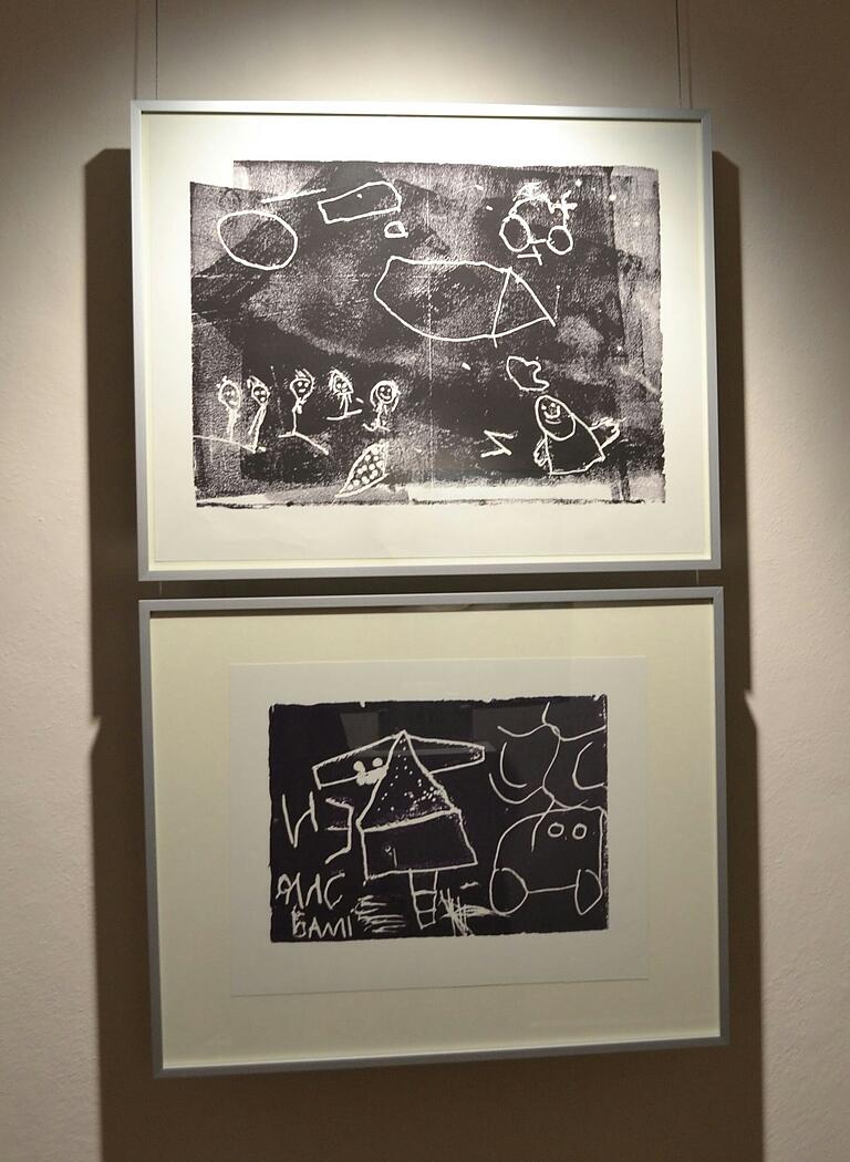 Eine ganz besondere Ausstellung 'Im Rahmen' ist im Franck-Haus in Marktheidenfeld. Wirklich sehenswert