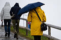 Besser den Regenschirm einpacken: Vor allem am Vormittag wird das Wetter in Bayern eher ungemütlich.  Foto:       -  Besser den Regenschirm einpacken: Vor allem am Vormittag wird das Wetter in Bayern eher ungemütlich.
