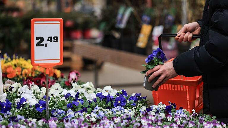 Baumarkt - Gartencenter       -  Schlechtes Wetter im Mai und Juni verhagelte den Händlern 2024 das Geschäft.
