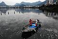 Rio de Janeiro 2016 - Lagoa Rodrigo de Freitas       -  Tote Fische, wohin das Auge blickt: In dieser Lagune sollen in drei Monaten die Olympia-Wettbewerbe der Ruderer und Kanuten stattfinden.