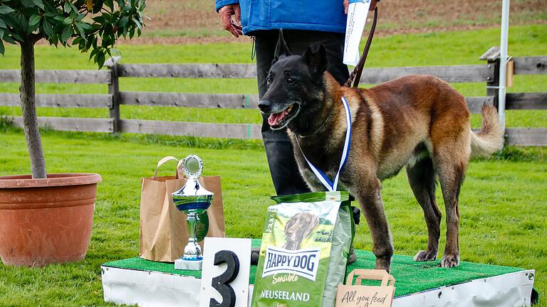 Bayerische Meisterschaft der Fährtenhunde in Bad Kissingen - Malinois-Rüde Black Jack von den kleinen Mädchen mit Waldemar Babel aus Unterzeitlbach auf dem dritten Platz. Bayerische Meisterschaft der Fährtenhunde in Bad Kissingen - Malinois-Rüde Black Jack von den kleinen Mädchen mit Waldemar Babel aus Unterzeitlbach auf dem dritten Platz.