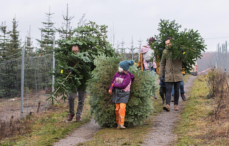 Der Weihnachtsbaum-Verkauf (hier im Bild in Gramschatz) ist von den Lockdown-Verboten ausdrücklich ausgenommen.