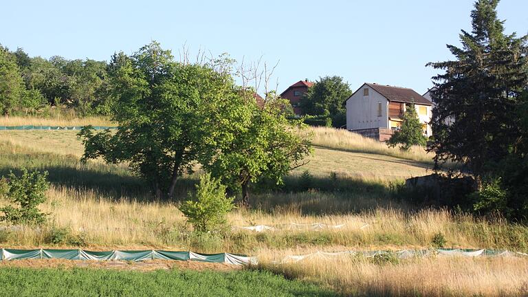 Wo derzeit noch Wiese ist, sollen in den nächsten sechs Monaten die Bagger anrollen. Nach dem Satzungsbeschluss für das Wohngebiet 'Klinge' in Retzbach können die Erschließungsarbeiten für die rund 50 Bauplätze vergeben werden. Wo derzeit noch Wiese ist, sollen in den nächsten sechs Monaten die Bagger anrollen. Nach dem Satzungsbeschluss für das Wohngebiet 'Klinge' in Retzbach können die Erschließungsarbeiten für die rund 50 Bauplätze vergeben werden. 