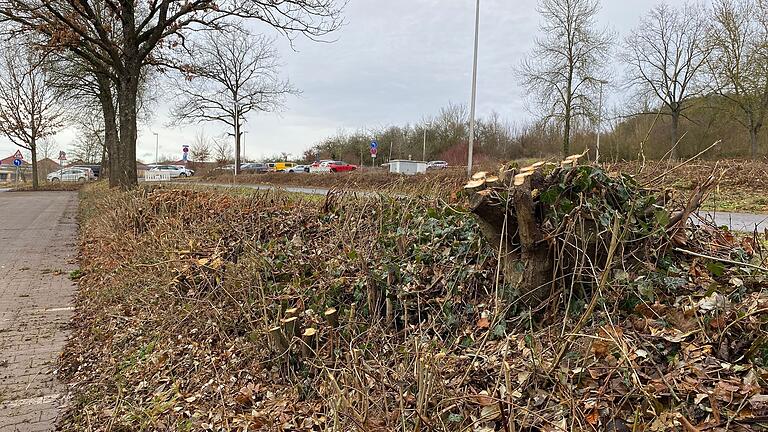 Die Parkplätze vor dem Wonnemar wurden vom Bauhof gereinigt und die Hecken zurückgeschnitten. Die Parkplätze vor dem Wonnemar wurden vom Bauhof gereinigt und die Hecken zurückgeschnitten.