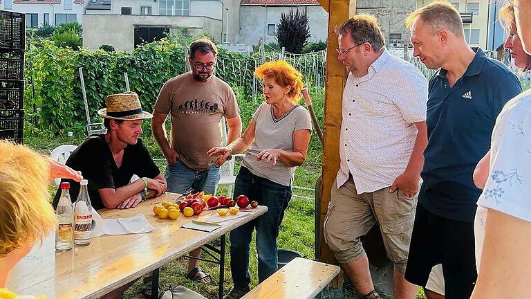 Tomatenpflanzen pflegen - Sorten genießen - das waren Themen bei einem Workshop der SoLaWi.