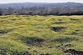 Bei Verdun: Bis heute prägen die Granatentrichter des Ersten Weltkrieges die Landschaft im Nordosten Frankreichs, wo das ganze Jahr 1916 eine höllische Vernichtungsschlacht tobte.