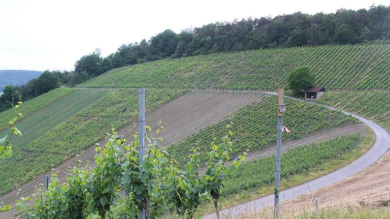 Die Weinlandschaft verschafft der Escape-Tour bei Ramsthal ihre außergewöhnliche Note.