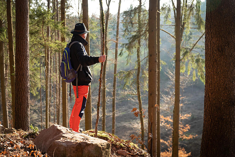 Der Wald als Raum des Wohlbefindens und der Langsamkeit: der Duft nach frischer Erde, das Grün, die Stille. Die sinnlichen Impulse der Natur wirken erholsam auf den Körper und heilsam auf die Seele. Der Wald als Raum des Wohlbefindens und der Langsamkeit: der Duft nach frischer Erde, das Grün, die Stille. Die sinnlichen Impulse der Natur wirken erholsam auf den Körper und heilsam auf die Seele.