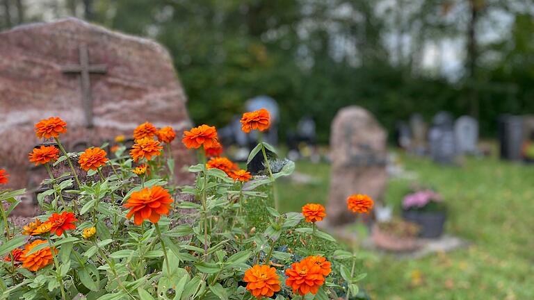 Auf dem Parkfriedhof in Mellrichstadt sind ausreichend Flächen für Sargbestattungen sowie für Urnenerdgräber vorhanden. Auf dem Parkfriedhof in Mellrichstadt sind ausreichend Flächen für Sargbestattungen sowie für Urnenerdgräber vorhanden.