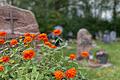 Auf dem Parkfriedhof in Mellrichstadt sind ausreichend Flächen für Sargbestattungen sowie für Urnenerdgräber vorhanden.