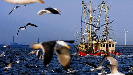 Kurswechsel in der Fischereipolitik: Mit einer weitreichenden Reform will die EU bedrohte Fischbestände besser schützen.