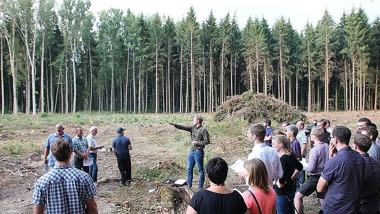 Wie Sie sehen, Sie sehen nichts mehr: Borkenkäferbefall führte zu einem Kahlschlag im Altfelder Wald. Was mit der Fläche gemacht wird, diskutierten Forstreferendare mit Stadtratsmitgliedern. Wie Sie sehen, Sie sehen nichts mehr: Borkenkäferbefall führte zu einem Kahlschlag im Altfelder Wald. Was mit der Fläche gemacht wird, diskutierten Forstreferendare mit Stadtratsmitgliedern.