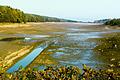 So sah der Ellertshäuser See im Oktober 1983 aus, als das Wasser abgelassen war. 10 000 Kubikmeter Schlamm lagen am Boden, der mit Lastwagen herausgefahren wurde.