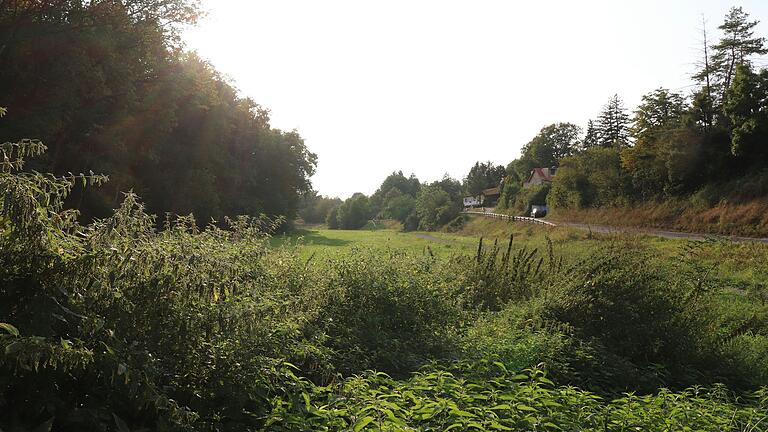 Auf diesen Wiesen an der Straße nach Kaltensondheim könnte ein Rückhaltebecken entstehen, das bei Starkregen den Wasserzufluss in Richtung Stadt drosseln würde.