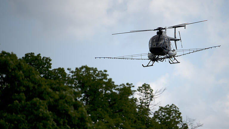 Schwammspinner wird aus der Luft bekämpft       -  Ein Hubschrauber verteilt im Flug Insektengift gegen den Schwammspinner. Ein Häutungsbeschleuniger soll die gefährlichen Raupen in Wäldern stoppen.