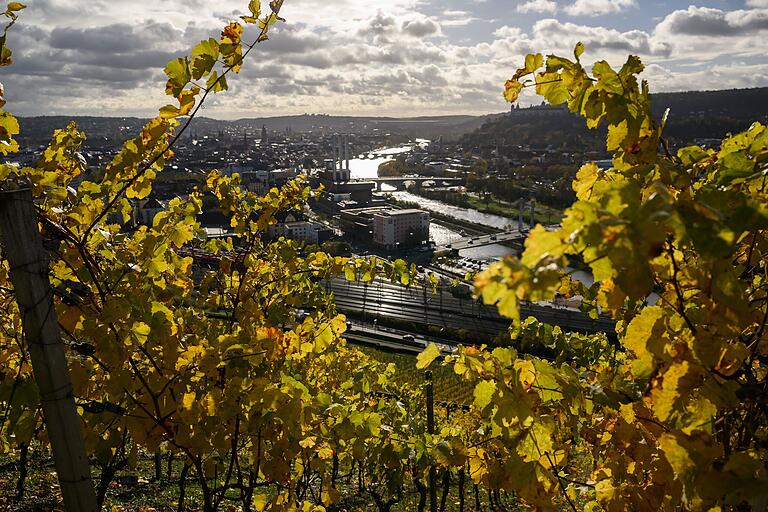 Schon beim ersten Aufstieg gibt es tolle Aussichten: Das goldene Herbstlaub der Reben rahmt die Würzburger Altstadt. Schon beim ersten Aufstieg gibt es tolle Aussichten: Das goldene Herbstlaub der Reben rahmt die Würzburger Altstadt.
