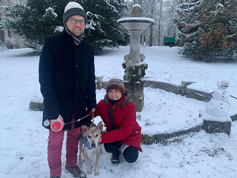 Den Schnee genießen: Spaziergang mit der Hündin im Würzburger Ringpark.