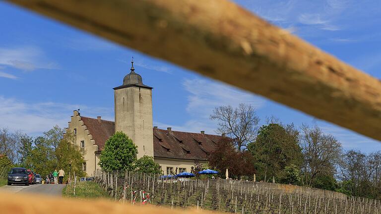 Blick auf die Hallburg im Frühling 2017.