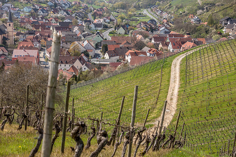 In und um Retzstadt unterwegs: Die Tour führt mitten durch die Weinberge. In und um Retzstadt unterwegs: Die Tour führt mitten durch die Weinberge.