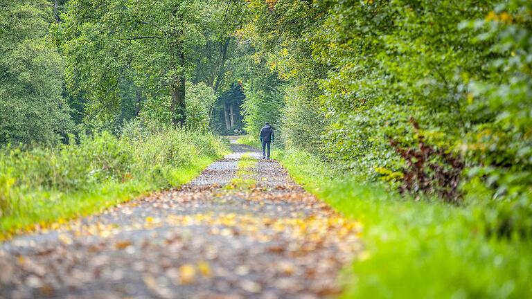 Ein Passant geht mit Krücken in Richtung Tretzendorf. Viele Fußgänger und Fahrradfahrer betonen, es bräuchte eine alternative zum Schotterweg durch den Wald. Ein Passant geht mit Krücken in Richtung Tretzendorf. Viele Fußgänger und Fahrradfahrer betonen, es bräuchte eine alternative zum Schotterweg durch den Wald.
