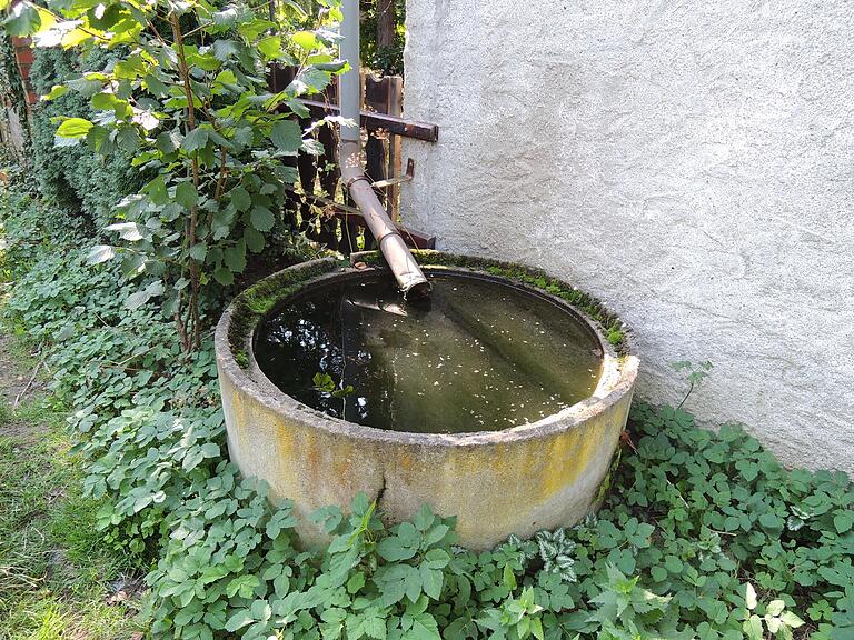 Ein Wasserbottich sammelt Regenwasser. Ein Wasserbottich sammelt Regenwasser.
