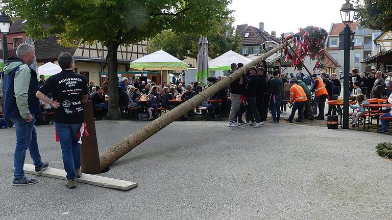 Mit gemeinsamer Kraftanstrengung stemmten die Schwebheimer zum Auftakt der Kirchweih den geschmückten Planbaum in die Höhe.