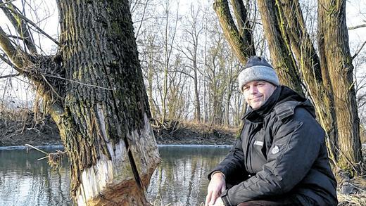 Ganze Arbeit hat der Biber in Röttingen geleistet, sagt Naturschutzfachreferent Erhard Heinle.