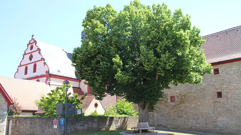 Im Bereich des Thierbachtals zwischen Ochsenfurt und Gaukönigshofen soll ein neuer Kulturweg entstehen. Eine der Sehenswürdigkeiten ist die ehemalige Kartause in Tückelhausen. Im Bereich des Thierbachtals zwischen Ochsenfurt und Gaukönigshofen soll ein neuer Kulturweg entstehen. Eine der Sehenswürdigkeiten ist die ehemalige Kartause in Tückelhausen.