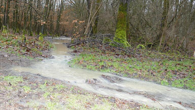 Überschwemmungen und Bodenerosionen müssen schon bei der Entstehung im Kleinen bekämpft werden. Hier fließt in einem Waldstück nahe beim Gut Erlasee nach heftigem Regen ein Bach durchs Gehölz.