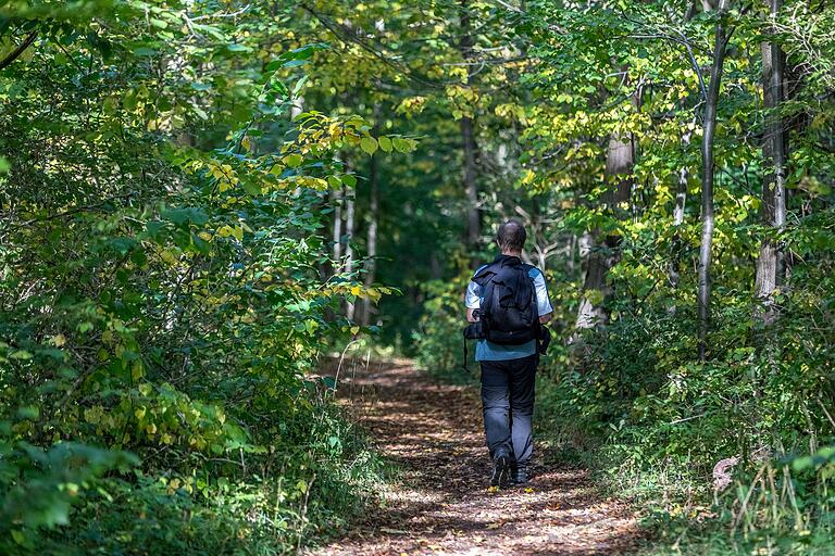 Die Wanderung führt durch vielseitige und abwechslungsreiche Natur. Die Wanderung führt durch vielseitige und abwechslungsreiche Natur.