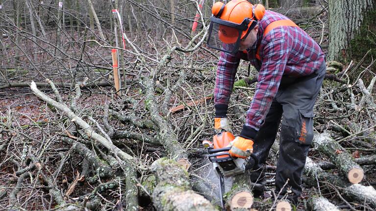 Brennholz ist begehrt. Doch zurzeit kann der Bedarf durch die Wälder in Unterfranken mancherorts nicht gedeckt werden.