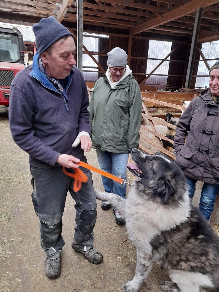 Josef Kolb und sein Hütehund Igor.